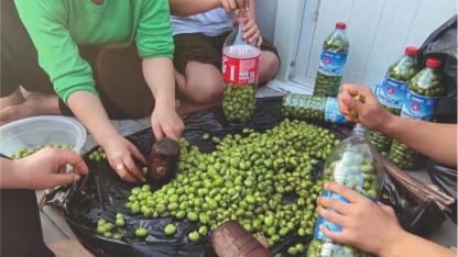 'Kalp kırma, zeytin kır'