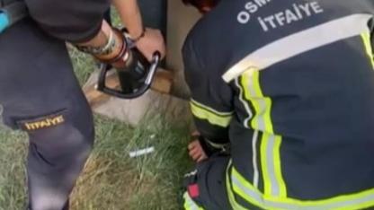 Konteyner ile duvar arasına sıkışan yavru kedi kurtarıldı