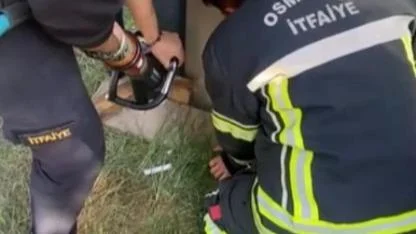 Konteyner ile duvar arasına sıkışan yavru kedi kurtarıldı