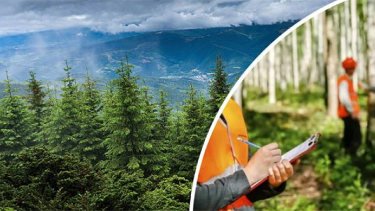 Orman Genel Müdürlüğü personel alacak