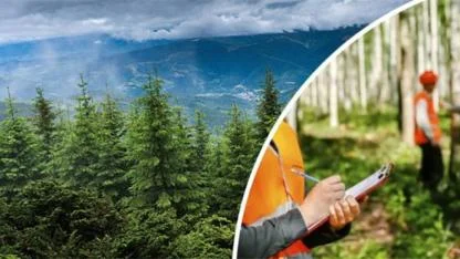 Orman Genel Müdürlüğü personel alacak