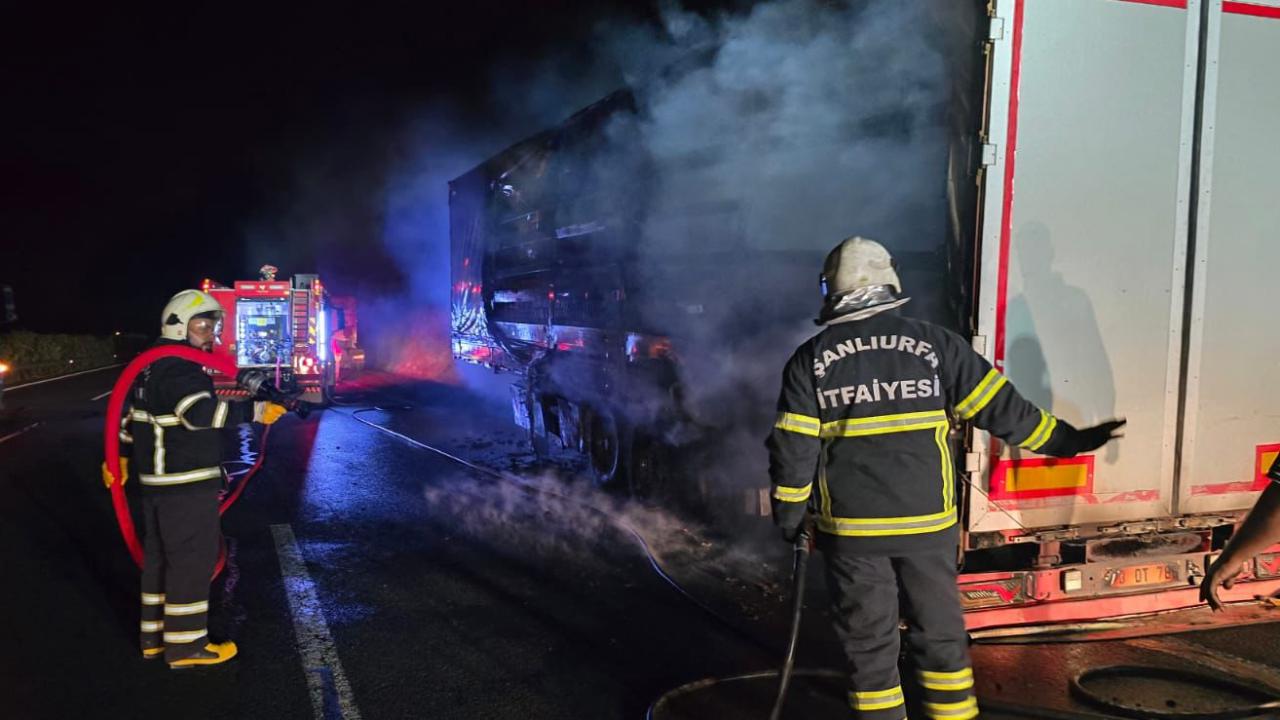 Salça yüklü TIR, alevlere teslim oldu