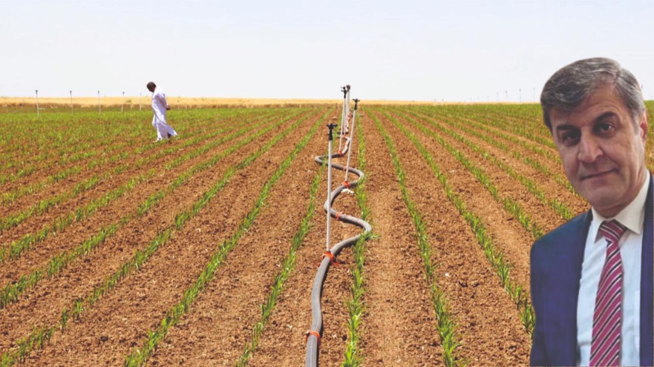 &#039;Şanlıurfa çiftçisi ekim yapacak durumda&#039;