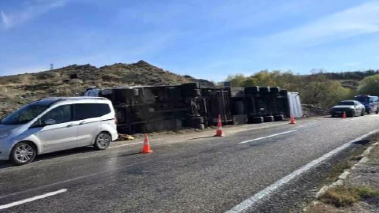 Şanlıurfa plakalı TIR devrildi: 55 Angus ineğinden 2&#039;si telef oldu