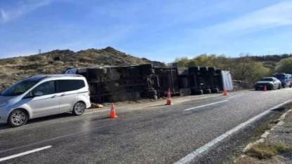 Şanlıurfa plakalı TIR devrildi: 55 Angus ineğinden 2'si telef oldu