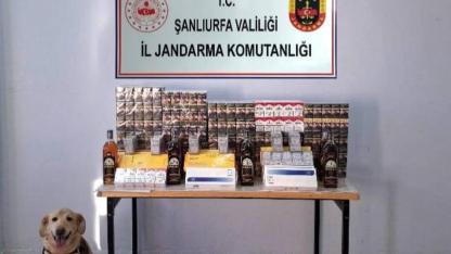 Şanlıurfa’da jandarmadan kaçakçılara operasyon