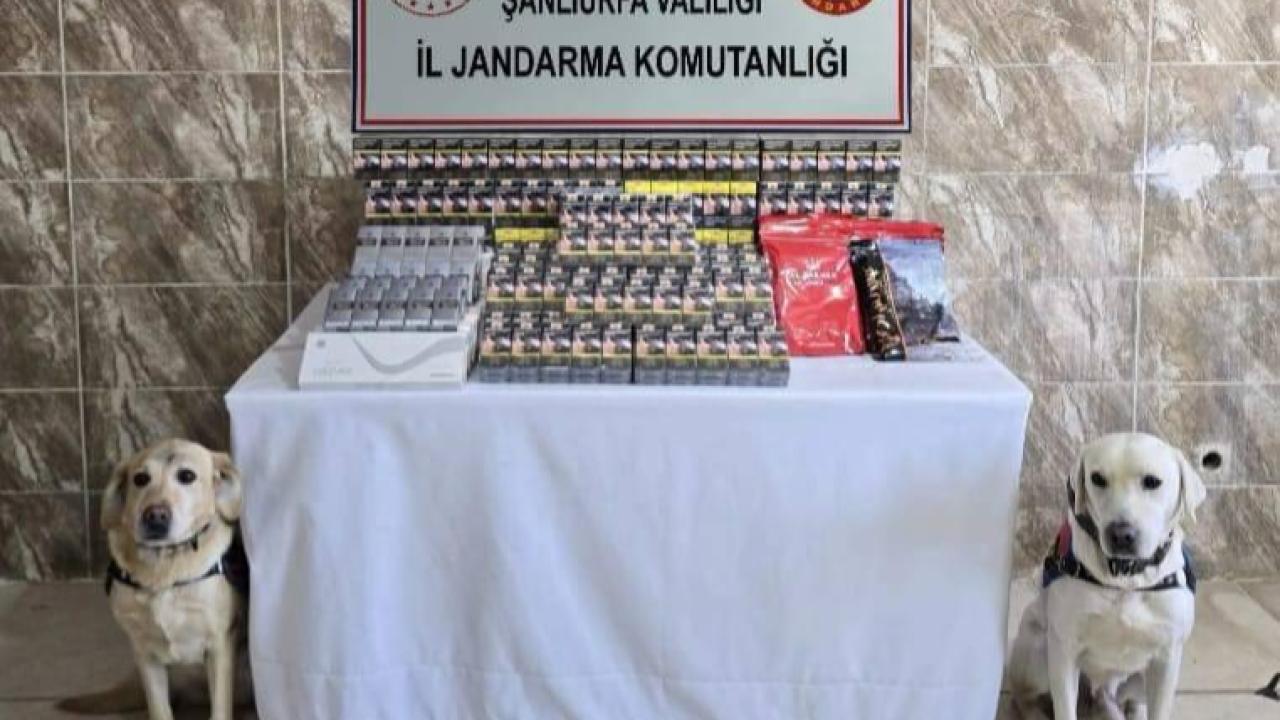 Şanlıurfa’da kaçak sigaraya geçit yok
