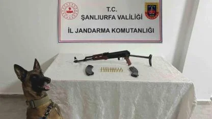 Şanlıurfa’da ruhsatsız silah operasyonu