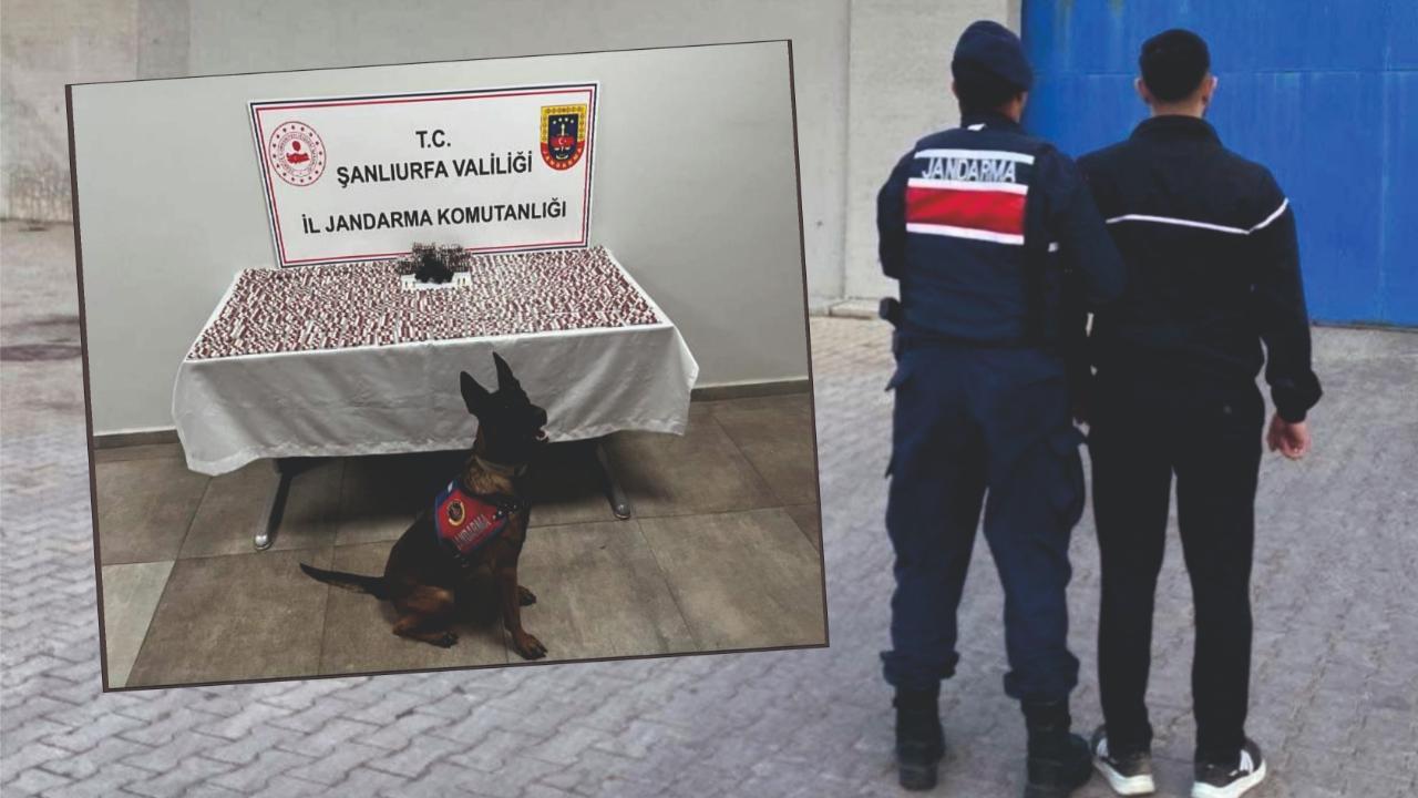 Şanlıurfa&#039;da uyuşturucu operasyonları hız kesmiyor