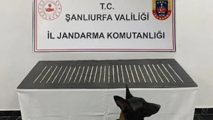 Şanlıurfa’da uyuşturucu operasyonu: 4 gözaltı