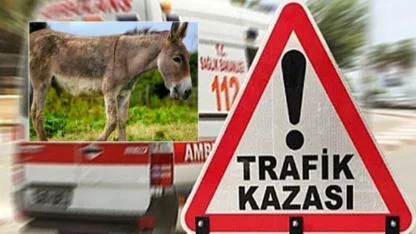 Şanlıurfa’da yola çıkan eşek kazaya neden oldu