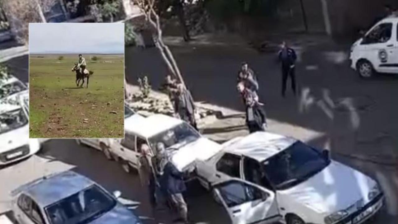 Siverek’te iki ilginç olay yaşandı