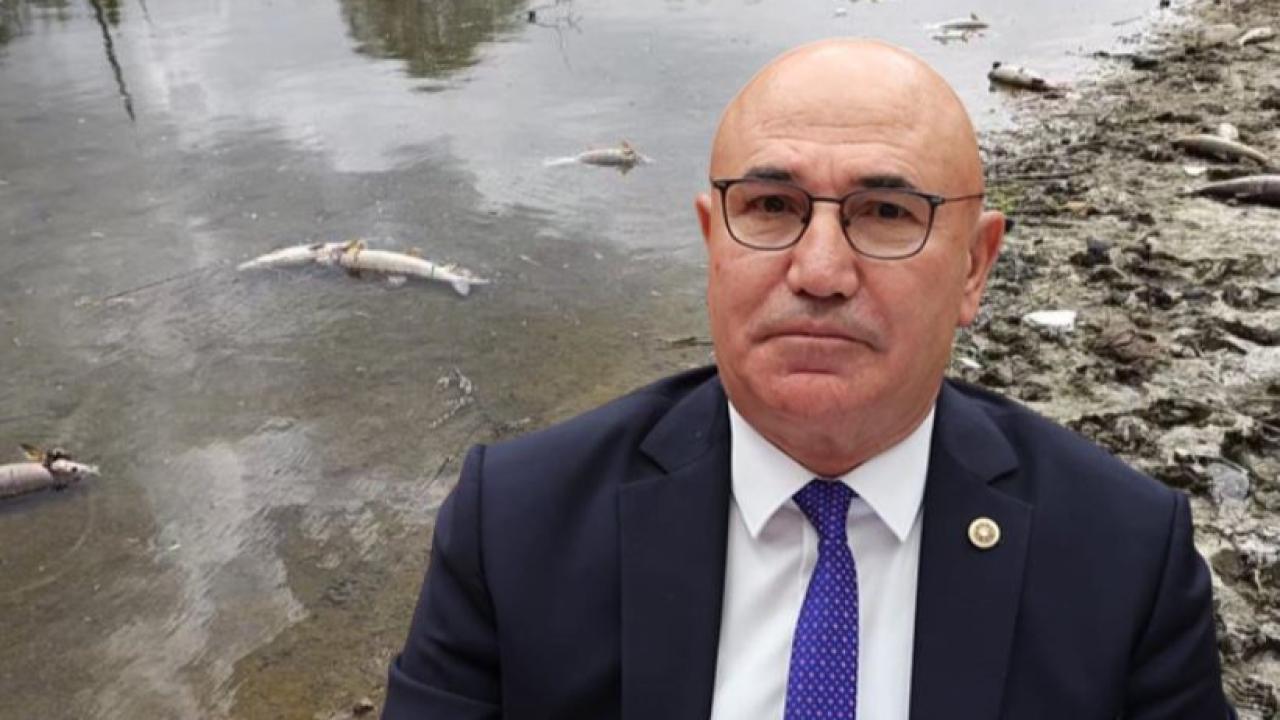 Tanal, Hilvan’daki ekolojik katliama dikkat çekti