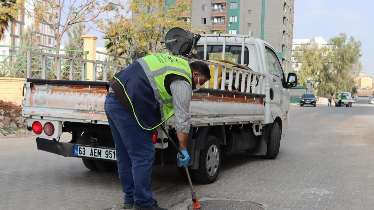 Vektörle mücadele çalışmalarına aralıksız devam ediyor