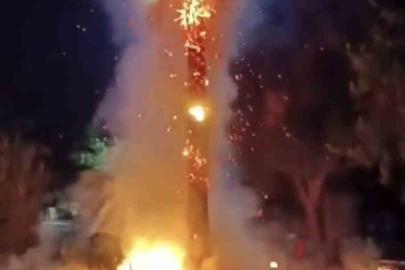 15 yıllık palmiye ağacını ateşe verdiler