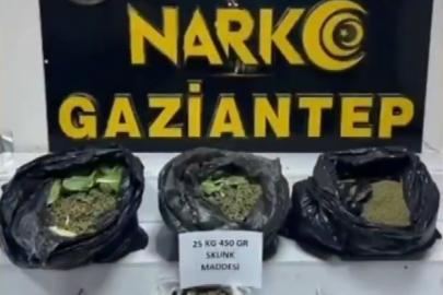 22 kilo skunk ile çok sayıda silah ele geçirildi: 7 gözaltı