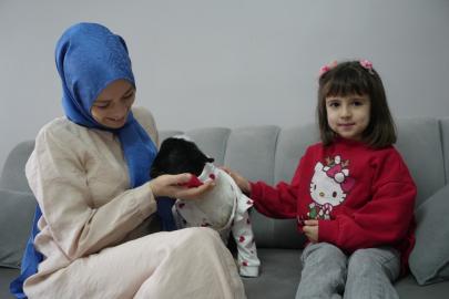 Annesi ölen kuzuya evinde bebek gibi bakıyor