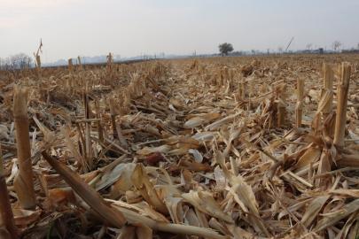 Büyükşehir’de tarımda yenilikçi yöntem