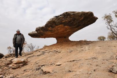 Buzul çağ kalıntısı: Tam 6 milyon yıl önceye ait