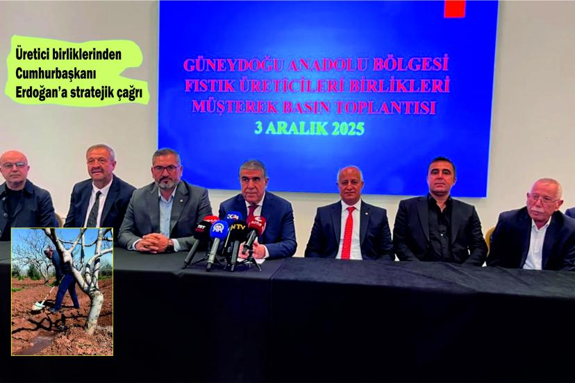 'Destek sağlayın, fıstığımız kurumasın'