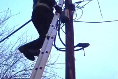 Direkte mahsur kalan kedi itfaiye tarafından indirildi