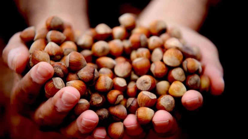 Fındık ihracı geçen yılın gerisinde kaldı