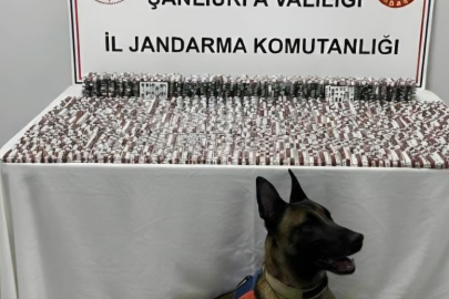 Haliliye ve Eyyübiye’de uyuşturucu operasyonu: 10 gözaltı