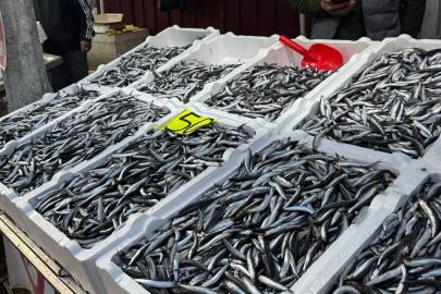 Hamsi 150 liradan alıcı buldu