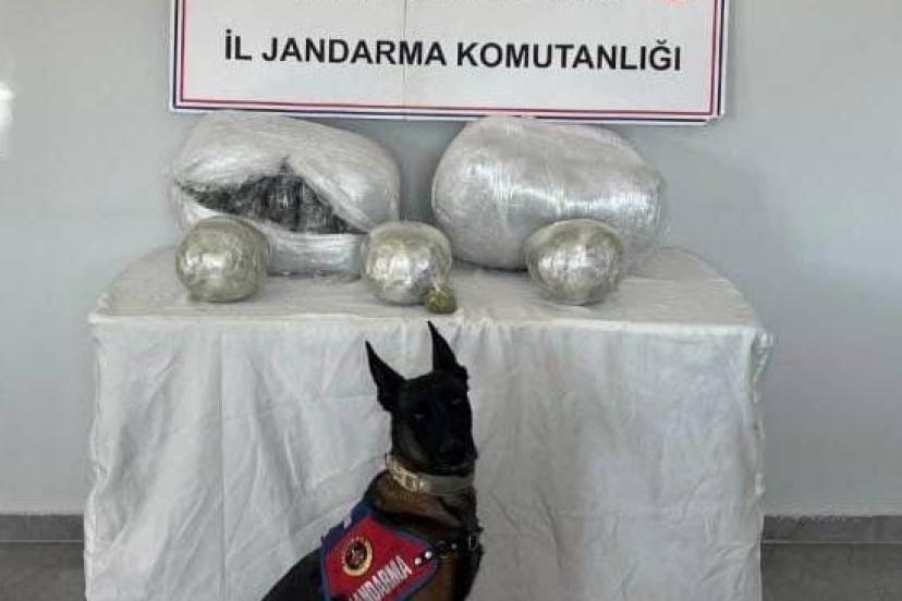 Jandarma kilolarca uyuşturucu ele geçirdi