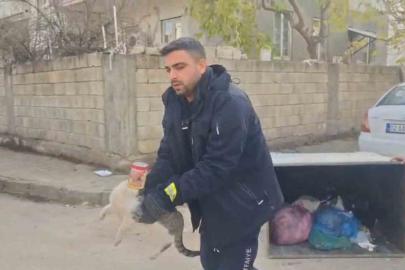 Konserve kutusuna sıkışan kedi kurtarıldı