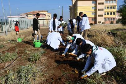Öğrencilere ’tohumdan sofraya’ tarım eğitimi