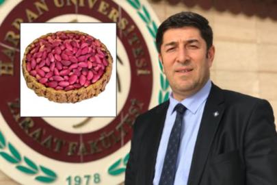 Öztürkmen, Şanlıurfa için acil eylem planı önerileri sıraladı