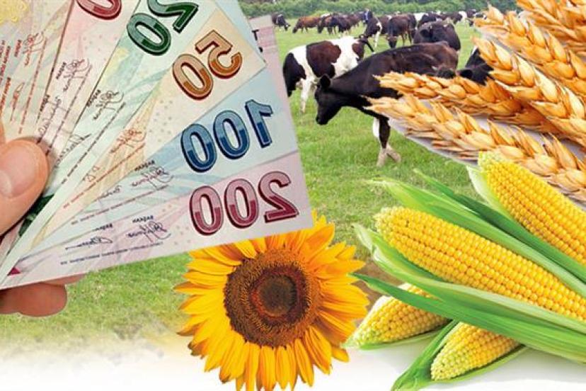 Sadaka kutusunu çalan şüpheli yakalandı