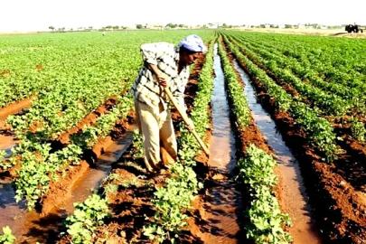 Şanlıurfa çiftçisine ÇKS uyarısı