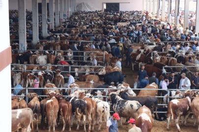 Şanlıurfa hayvan pazarı 2 gün kapalı olacak