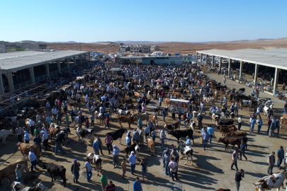 Şanlıurfa Hayvan Pazarı olayında yeni gelişme
