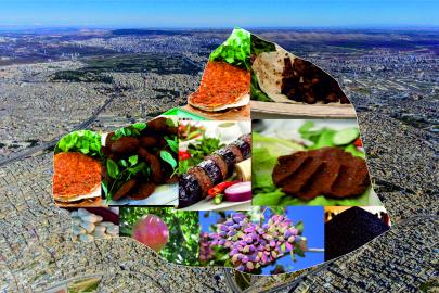 Şanlıurfa ürünlerine değer katanlar onurlandırılacak