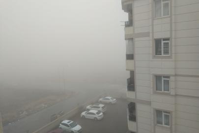 Şanlıurfa'da sis bulutu etkili oldu