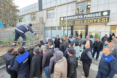 Suruç’ta halka 3 bin adet ağaç fidanı dağıtıldı
