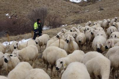 Vadeli koyun alarak kendi sürüsüne sahip oldu