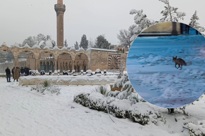 Balıklıgöl’e sürpriz ziyaretçi