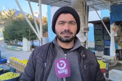 Bu yıl çiftçiler ‘zeytin’den umduğunu bulamadı