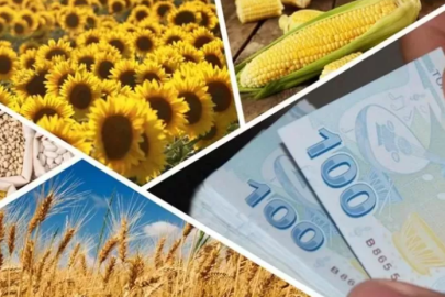 Çiftçilere müjde: Desteklemeler hesaplara yatmaya başladı