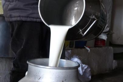 Çiğ süt fiyatları belli oldu