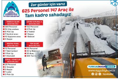 Eyyübiye’de 625 personel 147 araç sahada