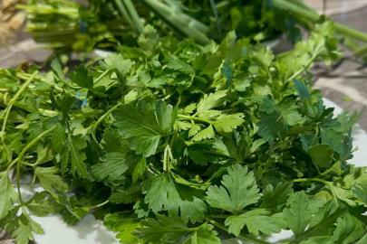 Grip artıyor; C vitaminini yanlış besinde aramayın