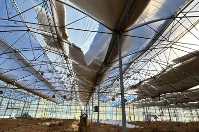 "Kar yağışı seralarda hasar oluşturdu"