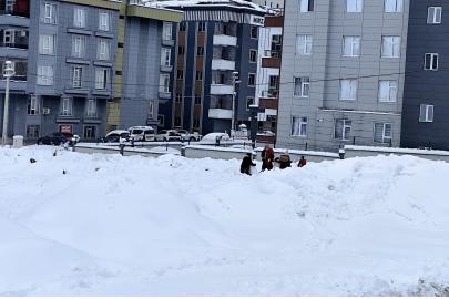 Karaköprü'de kar kalınlığı 10 cm'yi geçti