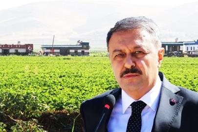 Şanlıurfa’da 786 izinsiz yapı tespit edildi