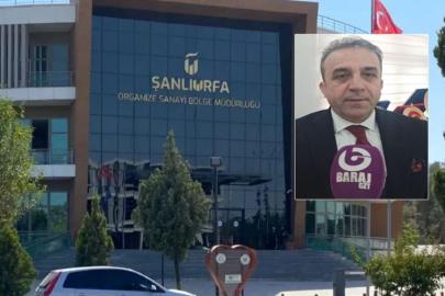 Şanlıurfa'da 'Ortak Aklı'n ne kadarı devrede ?